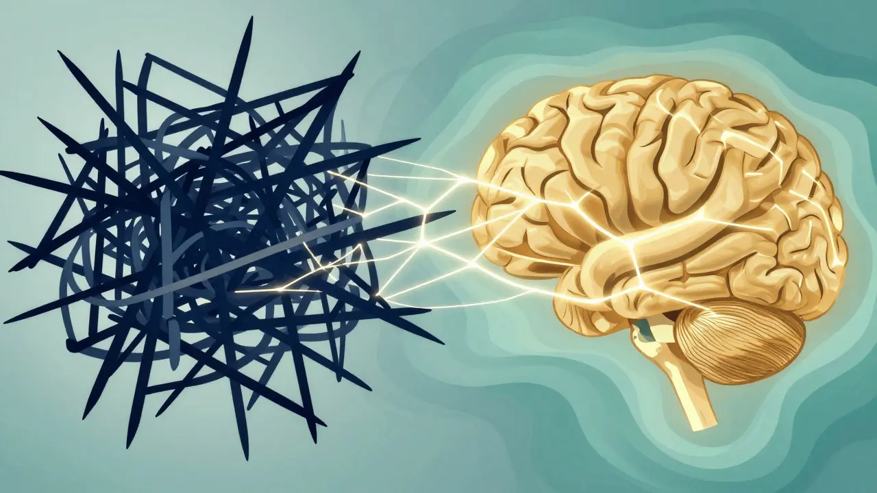 Abstract visualization of brain shifting from chaos to calm via neuroplasticity